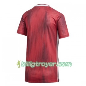 Billige Fotballdrakter Tyskland Bortedraktsett VM - Kvinner 2019 Kortermet